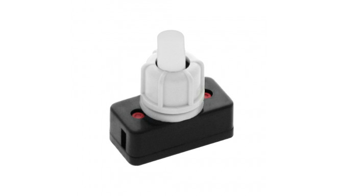 4915# pbs-17a-2 sisse-välja lüliti (20 tk.)