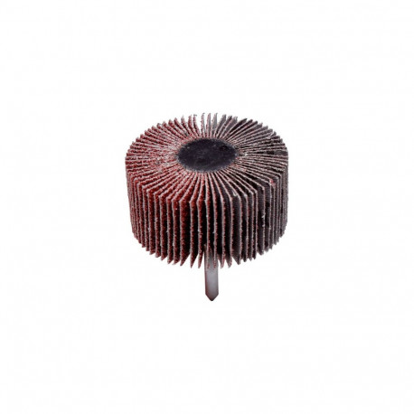 Ściernica listk.trzpien.km613 60*30*6 gr.120(45408) 10 tk pakendis