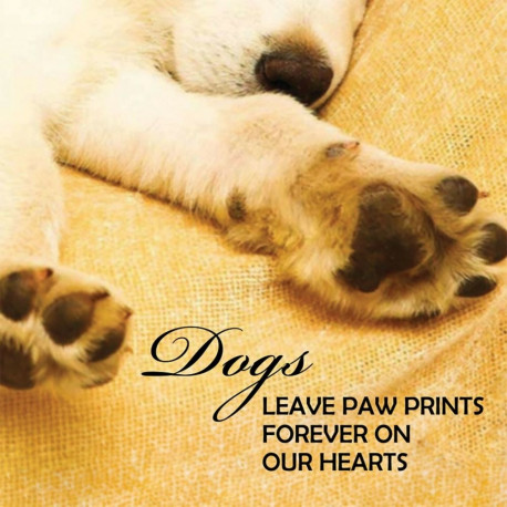 US Games Systems Inspirational Pup Notes: 60 Cards of Love and Joy