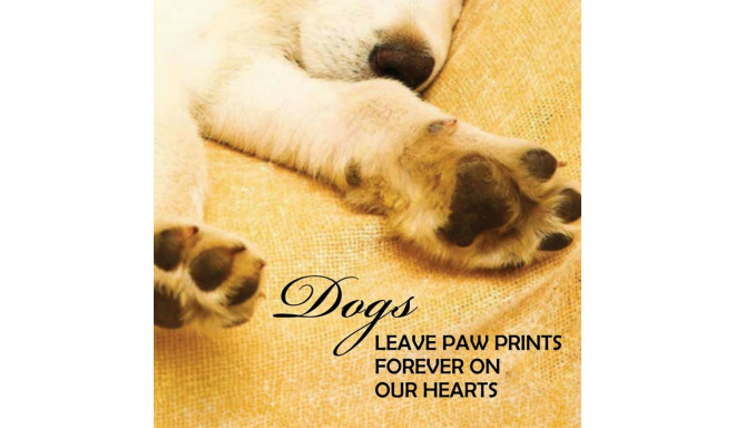 US Games Systems Inspirational Pup Notes: 60 Cards of Love and Joy