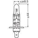 H1 12V 55W P14.5S 1xblister