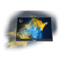 ASUS ZenScreen OLED MQ16AHE portable monitor 15.6inch FHD OLED 16:9 60Hz 400cd/m2 1ms HDMI USB-C Bla