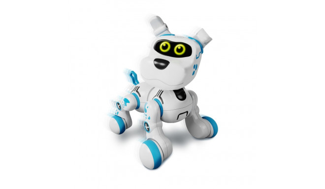 XTREM BOTS interaktiivne robot Bobby