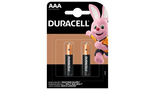 Duracell Basic MN2400 AAA 2 tk