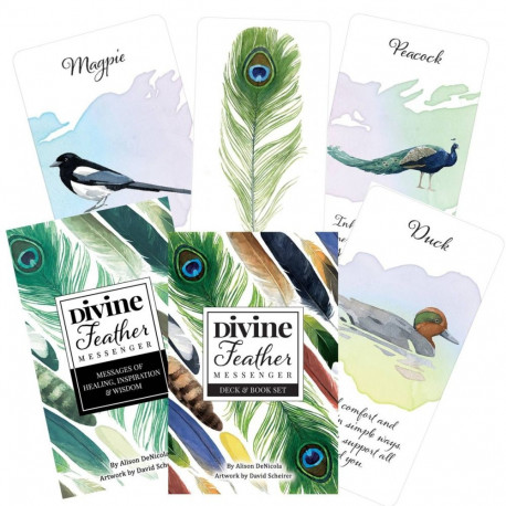 Oracle Cards Divine Feather US Games Systems