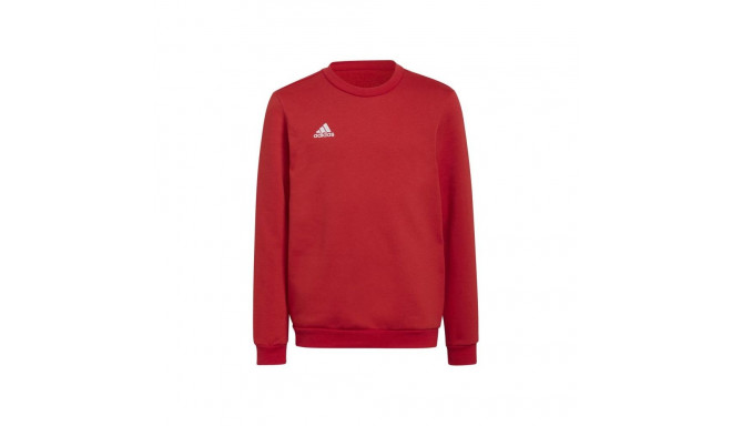 Adidas Entrada 22 Sweat Jr sweatshirt H57473 (164CM)