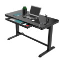 Desk ERGO with 1 motor 120x60cm, black