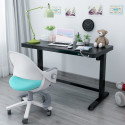 Desk ERGO with 1 motor 120x60cm, black