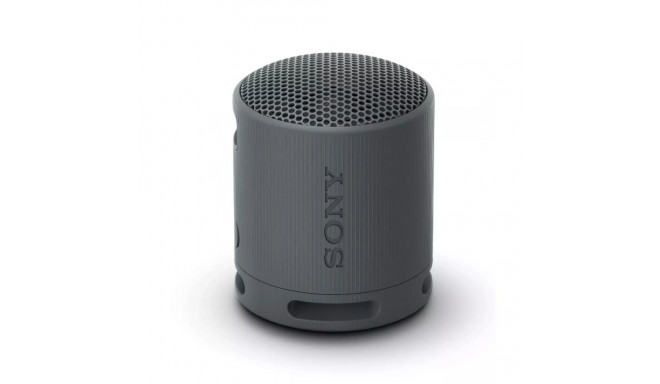 Sony SRS-XB100 Portable Speaker