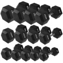 HMS HEX PRO 4 KG dumbbell