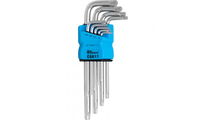 Hexagon keys "Richmann" T10-T50 9 pcs.