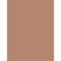 Rimmel London Lasting Finish 25H Compact Powder Foundation (7ml) (009 Honey)