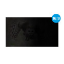PRIVACY FILTER NATEC OWL 17.3" 16:9