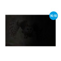 PRIVACY FILTER NATEC OWL 16" 16:10
