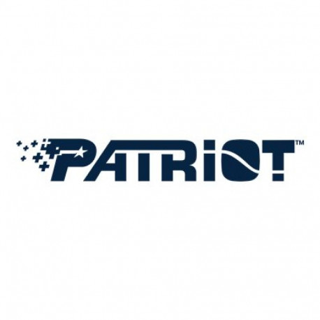 PATRIOT SSD-ketas P210 256GB SATA 3 sisemine 2,5-tolline