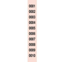 Raffle Number Strips 1-2000 (30 Units)