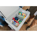 IGLOO ICF 40 Electric Cool Box 39 Liter