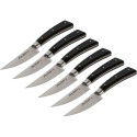 Jean Dubost Laguiole 6 pcs. Steak Knife Set, Acrylic