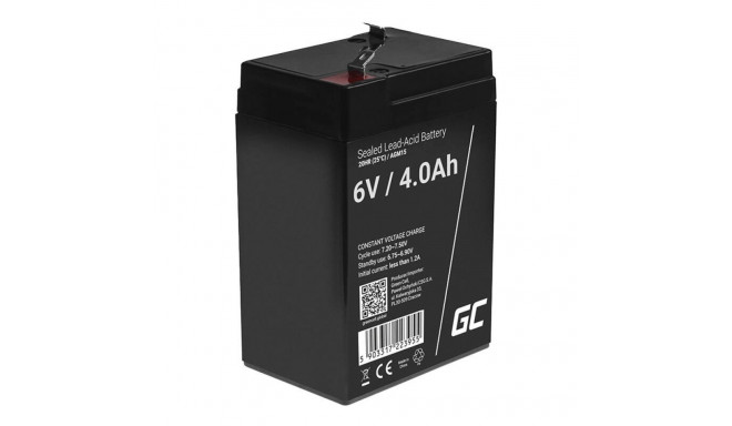 Maintenance-free AGM VRLA Green Cell AGM15 6V 4Ah Battery (for alarm system, cash register, toy)