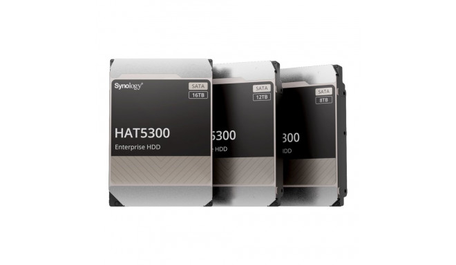 SYNOLOGY HAT5300 12TB SATA HDD
