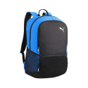 Puma Team Goal Premium backpack 90458 02