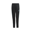 Adidas Tiro 23 Club Training Jr IC1588 pants (164cm)