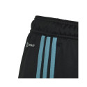 Adidas Tiro 23 Club Training Jr IC1588 pants (164cm)