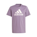 Adidas Essentials Big Logo Cotton Tee Jr IJ7061 (152cm)