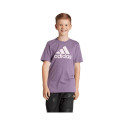 Adidas Essentials Big Logo Cotton Tee Jr IJ7061 (152cm)