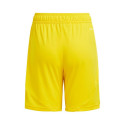 Adidas Tiro 24 Jr IT2410 shorts (128cm)