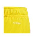 Adidas Tiro 24 Jr IT2410 shorts (128cm)