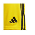 Adidas Tiro 24 Jr IT2410 shorts (164cm)