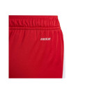 Adidas Tiro 24 Jr shorts IR9367 (152cm)