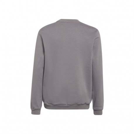Adidas Entrada 22 Sweat Top Jr H57477 (152)