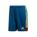 Adidas Tastigo 19 M DU4411 shorts (164)