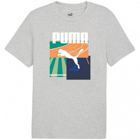 Puma meeste t-särk Graphics Summer Sports Tee II 627909 04 S, hall
