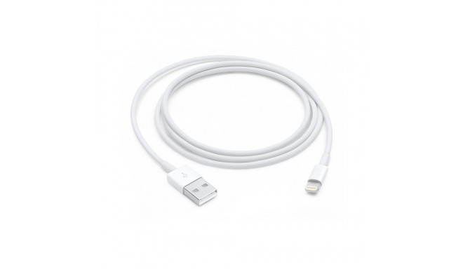 Apple Lightning to USB Cable (1В m)