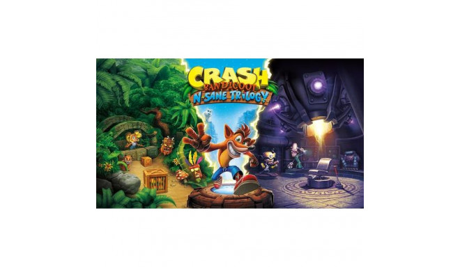 Activision Blizzard Crash Bandicoot N. Sane Trilogy, Nintendo Switch Anthology