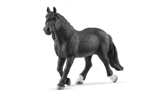 Schleich Horse Club 13958 Noricuminhevosori