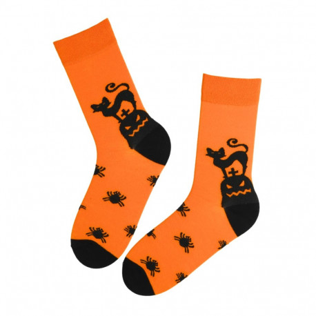 SOKISAHTEL ZEAL oranžid kassidega halloweeni sokid 446