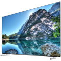 55", UHD, Android TV, Black, OLED 60Hz, DV, 500/900nits, DA, 2x12W, Energy F, BT, WiFi, 3 HDMI 2.0, 