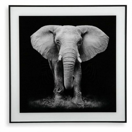 Maal Versa (2 x 50 x 50 cm)