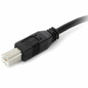 Кабель USB A — USB B Startech USB2HAB30AC          Чёрный