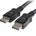 DisplayPort Cable Startech DISPL5M              5 m 4K Ultra HD Black