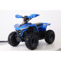 ATV ELF750 sinine, elektrimootor 750W