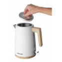 Electric kettle RK3315