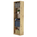 Topeshop R50 ARTISAN office bookcase