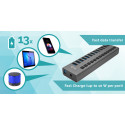 USB-jaotur i-Tec U3CHARGEHUB13        60W