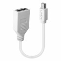 Mini DisplayPort-DisplayPort Adapter LINDY 41021 Valge