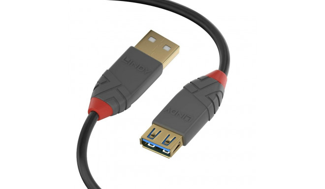 USB Cable LINDY 36763 3 m Black